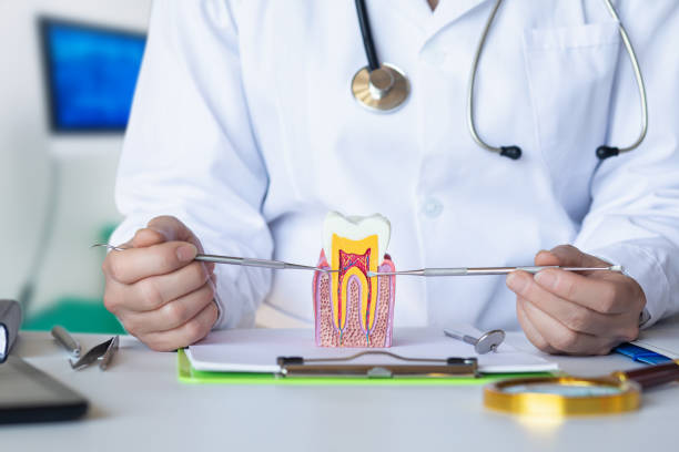 Best Emergency Treatment for Toothache in East Meadow, NY